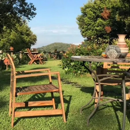 Vakantiehuis Alba 2-bed - Sleeps 4 - Montseny Park